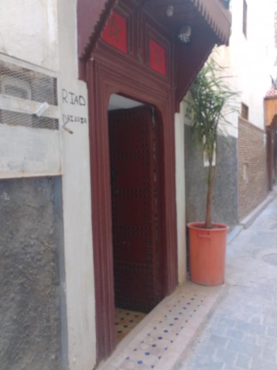 Riad Drissia Panoramic 非斯 外观 照片